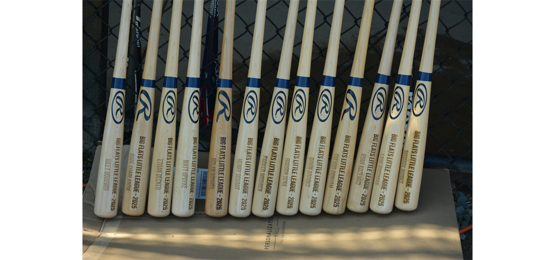 Aging Out Player Commemorative Bats